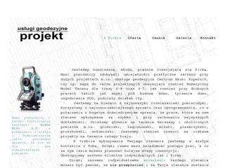 siteItem_details : usługi geodezyjne - projekt