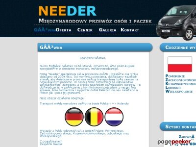 Szczegóły : needer.pl - Busy do Holandii