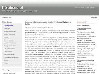 Szczegóły : Usługi informatyczne - pozycjonowanie stron www