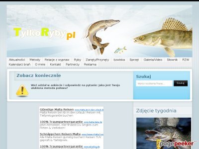 Szczegóły : tylkoryby.pl