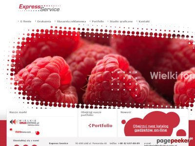 Szczegóły : promujemyfirmy.pl