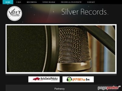 siteItem_details : Silver Records - produkcja reklam